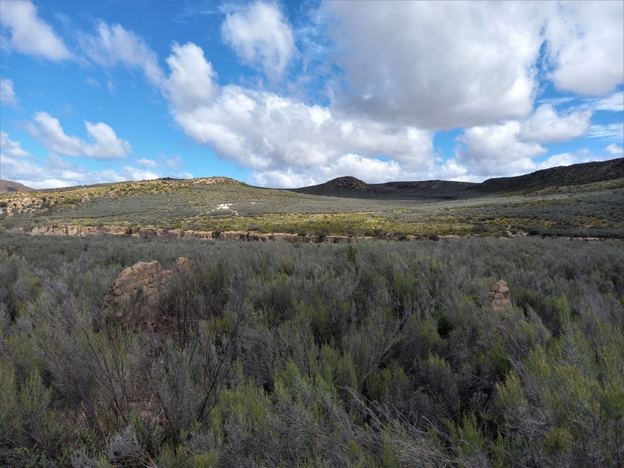 Commercial Property for Sale in George Rural Western Cape